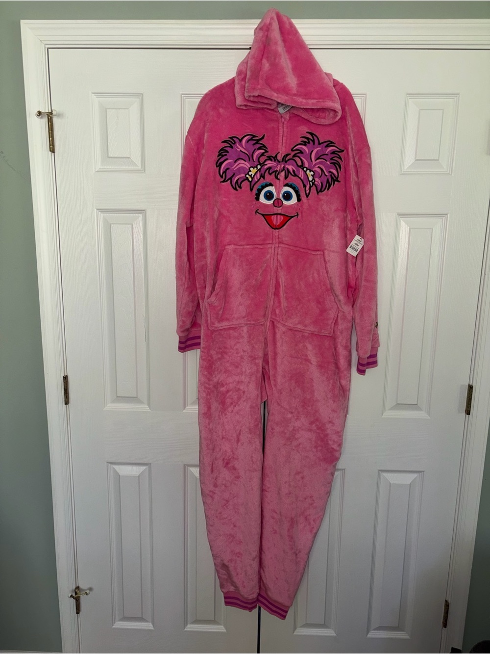 Sesame Street Abby Cadabby fleece footless sleeper adult size large